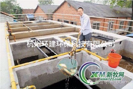 浙江日报报道的邱建清养猪场废水处理池养起了红鲤鱼